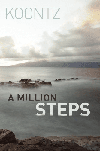 a million steps camino book