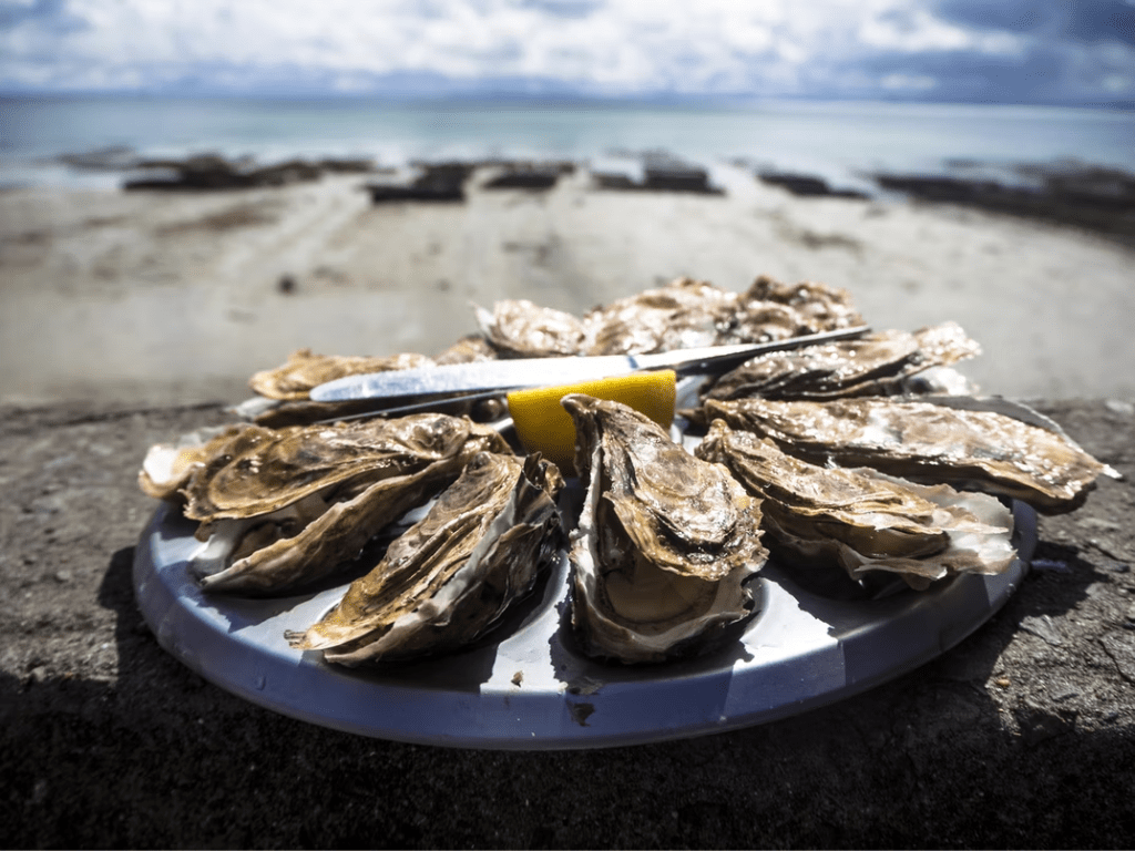 oyster platter by the sea