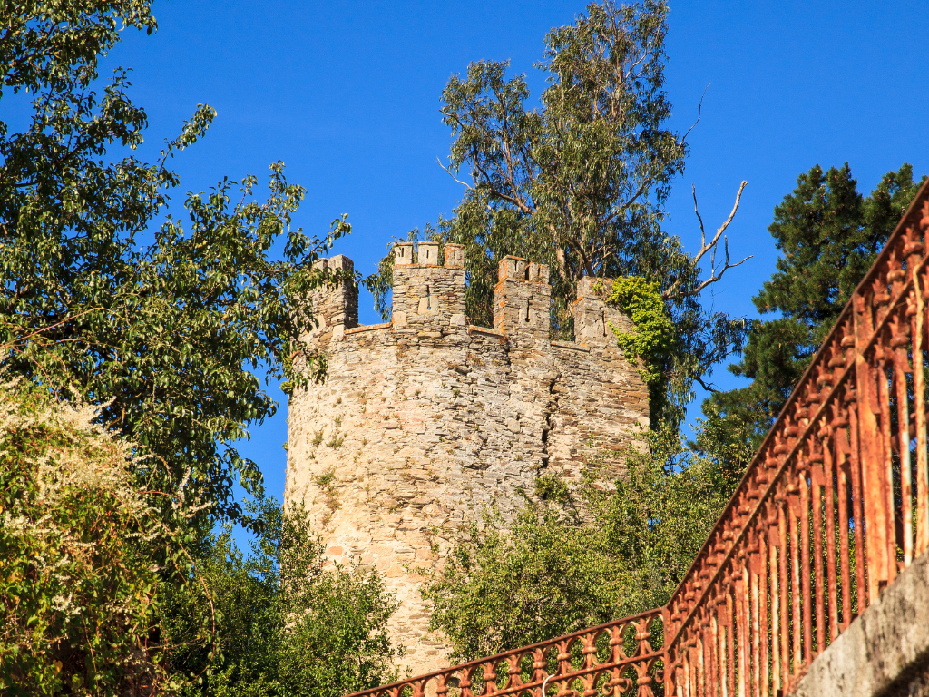 tower of Sarria surrounded by brush
