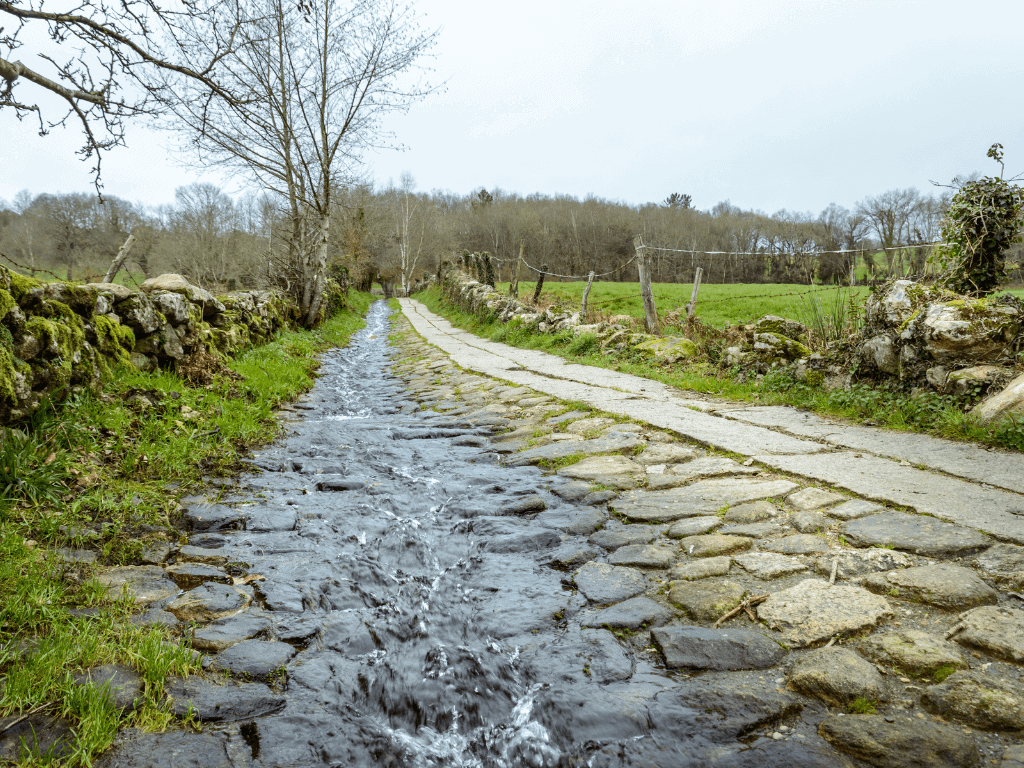 Rocky pathway in the middle of grassy fields between Sarria and Portomarin on the Camino