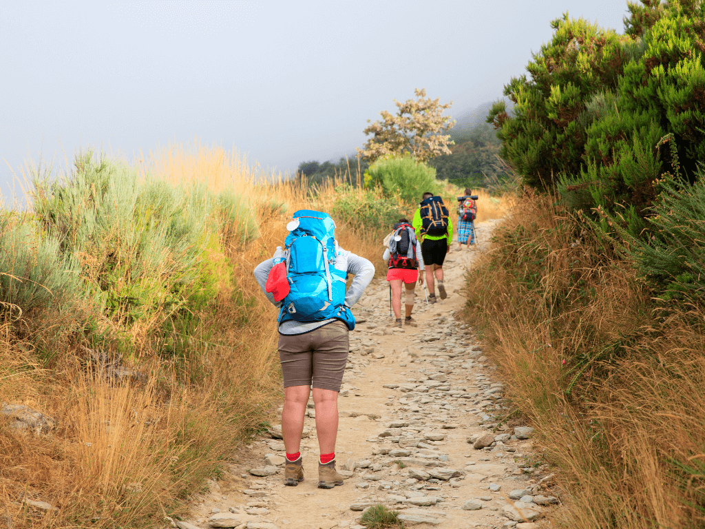 Walking the Camino de Santiago: An Active Journey